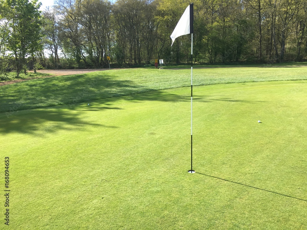 Obraz premium Golf Green