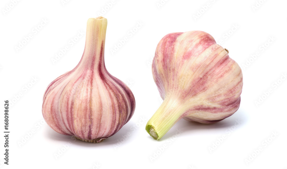 Fototapeta premium Garlic isolated on white background