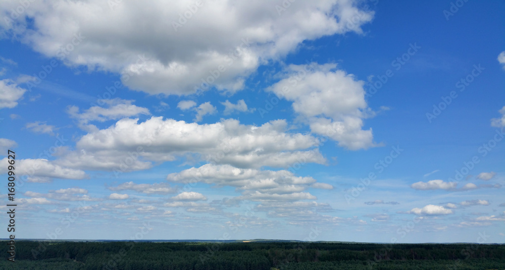 Forest and Sky Landscape.