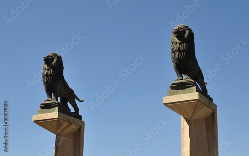 Les Lions de Saragosse