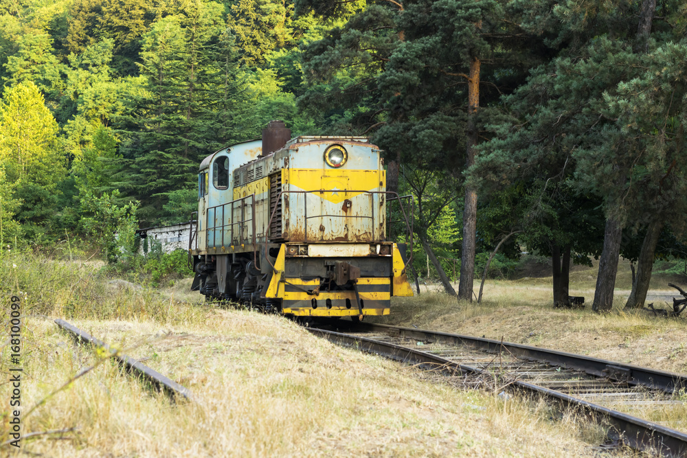 front view of the Diesel locomotive on the railroad