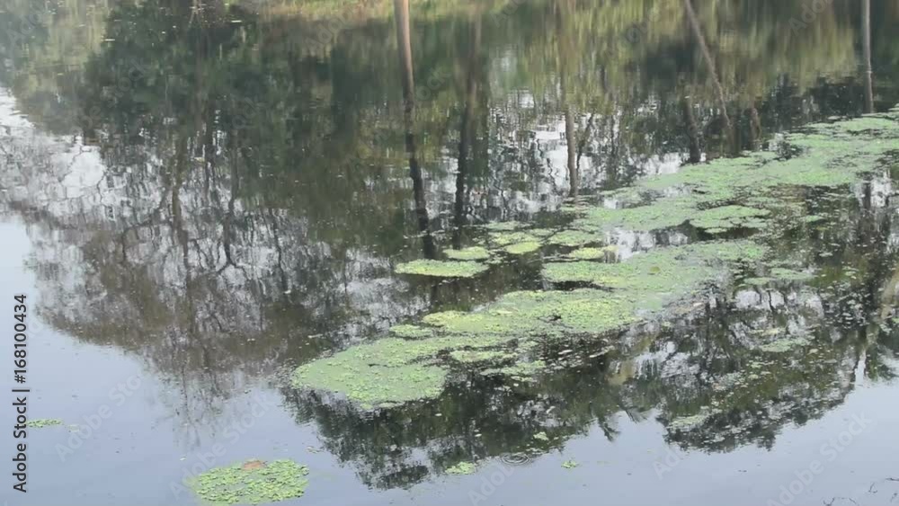 Beautiful view of a pond or lake with mild breeze flowing on the water surface Beautiful view of a pond or lake with mild breeze flowing on the water surface