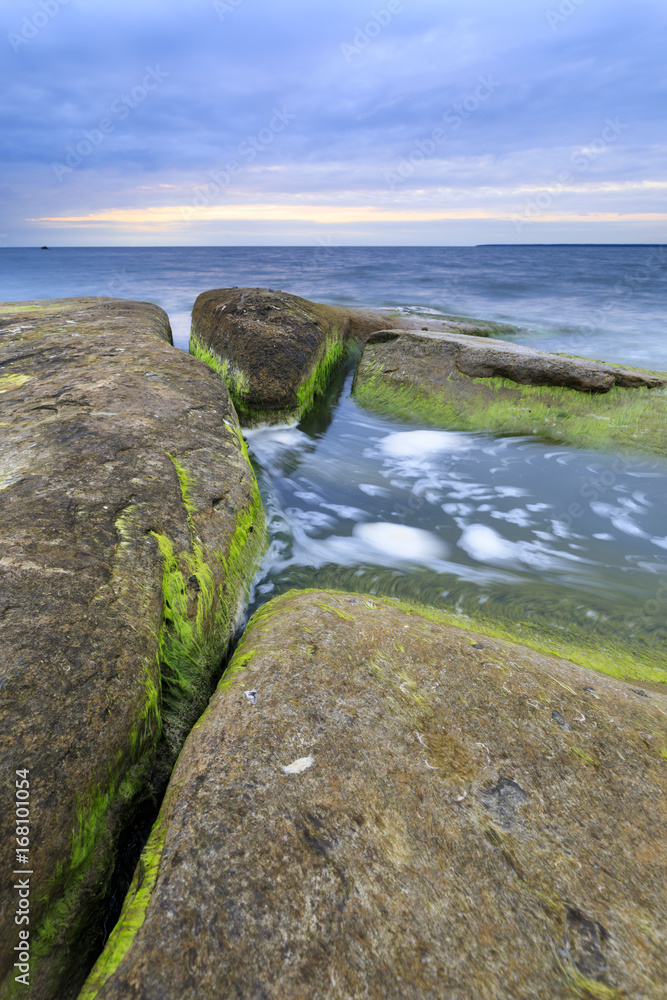 Algaes on large rocks in sea at cloudy evening