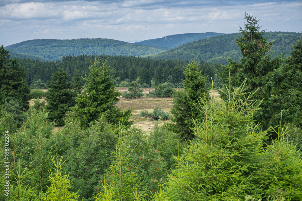 Obraz premium Sauerland Landschaft