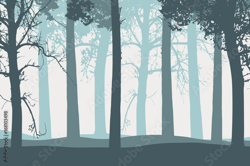 Vector illustration of tree trunks with branches in forest