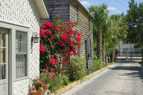 Fototapeta Naklejka Na Ścianę i Meble -  Colorful Bougainvillea in bloom in quaint Old St. Augustine, Florida, U.S.A.