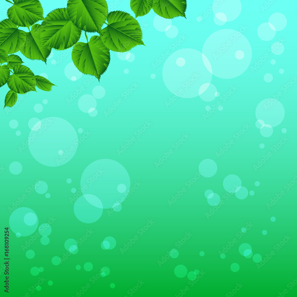 Foliage on a nice background. Close-up. Summer / spring background. Foliage on a nice background. Close-up. Summer / spring background.