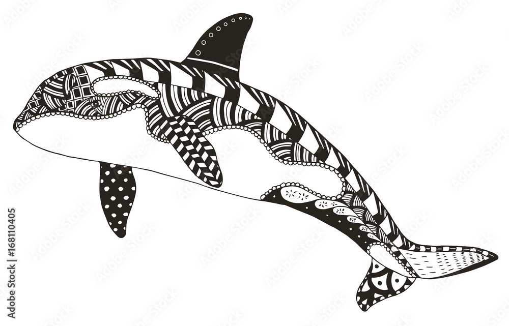 Naklejka premium Killer whale zentangle stylized, vector, illustration, freehand pencil, hand drawn, pattern, orca. Pattern. Zen art.