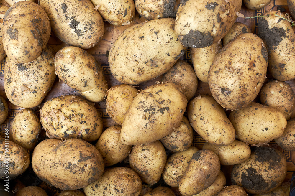 Close-up of a fresh raw potatoes background Close-up of a fresh raw potatoes background