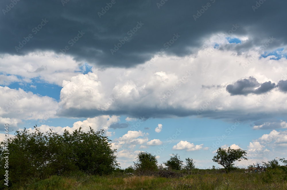 Gloomy clouds over a weed-covered field