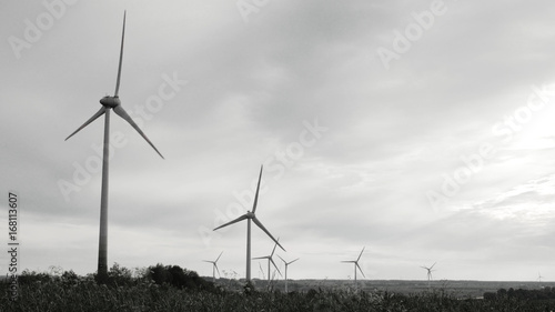 Wind turbines in the field, overcast. Clean and Renewable Energy, Wind Power, Turbine, Windmill, Energy Production