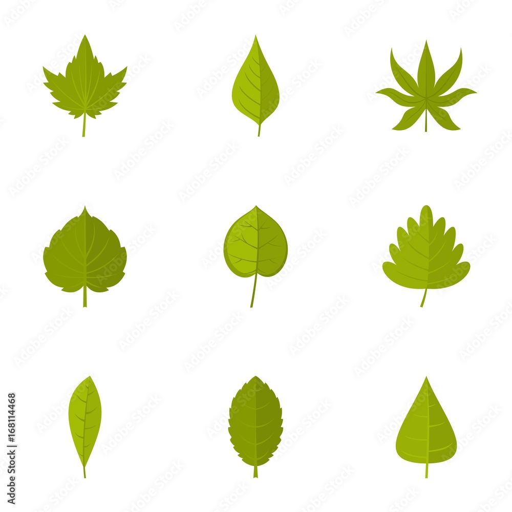 Summer leaf icons set, flat style Summer leaf icons set, flat style