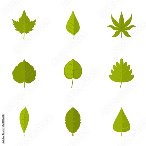 Summer leaf icons set  flat style