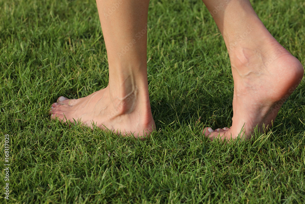 Woman legs walking on green grass, closeup barefoot walking