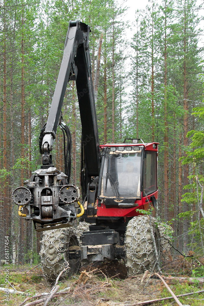 Timber harvester working in a forest. Northern Karelia, Russia Timber harvester working in a forest. Northern Karelia, Russia