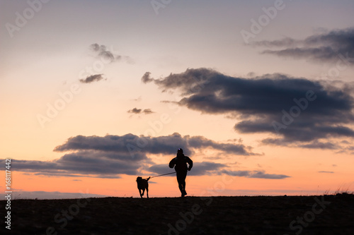Dog and its owner canicross at dawn photo