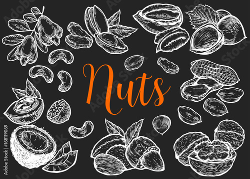 Hazelnut  almond  walnut  peanut  coconut  pecan  pistachio  cashew  nutmeg seed vector. Isolated on black background. Nut milk  butter food ingredient. Engraved hand drawn illustration.