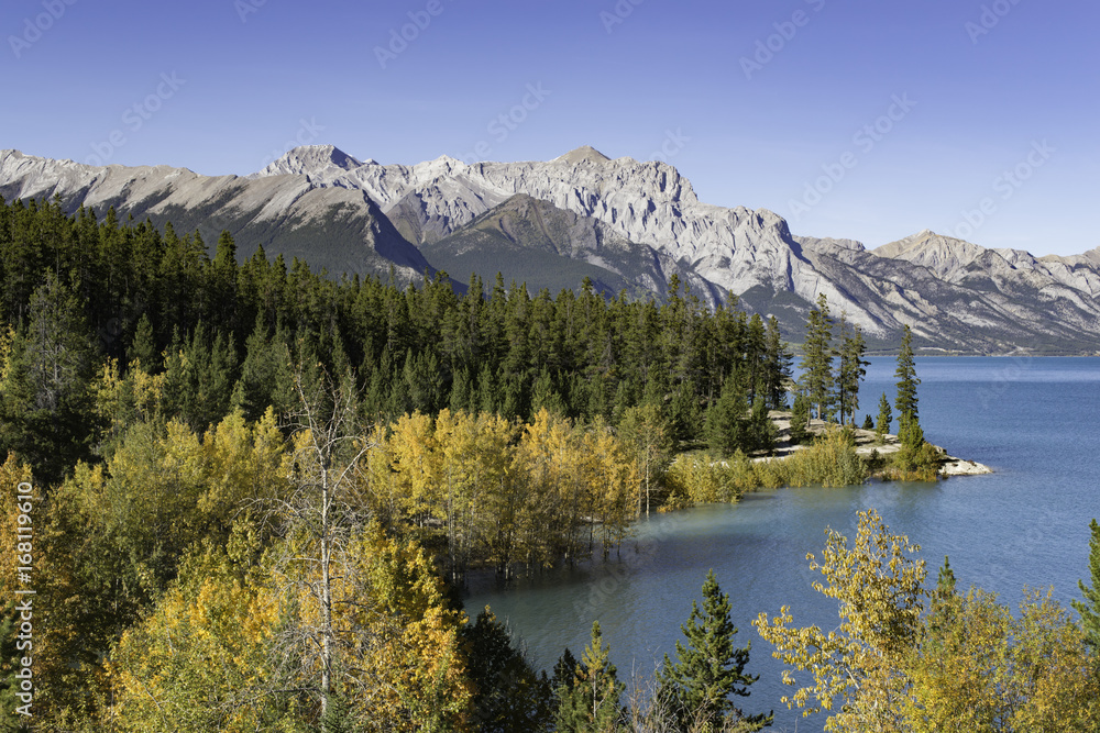 Fall colors in full bloom at Abraham Lake Fall colors in full bloom at Abraham Lake