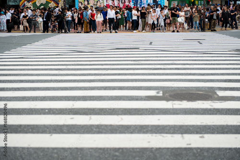 Tokyo Shibuya pedestrian crosswalk 