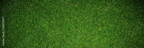 Close up view of astro turf photo