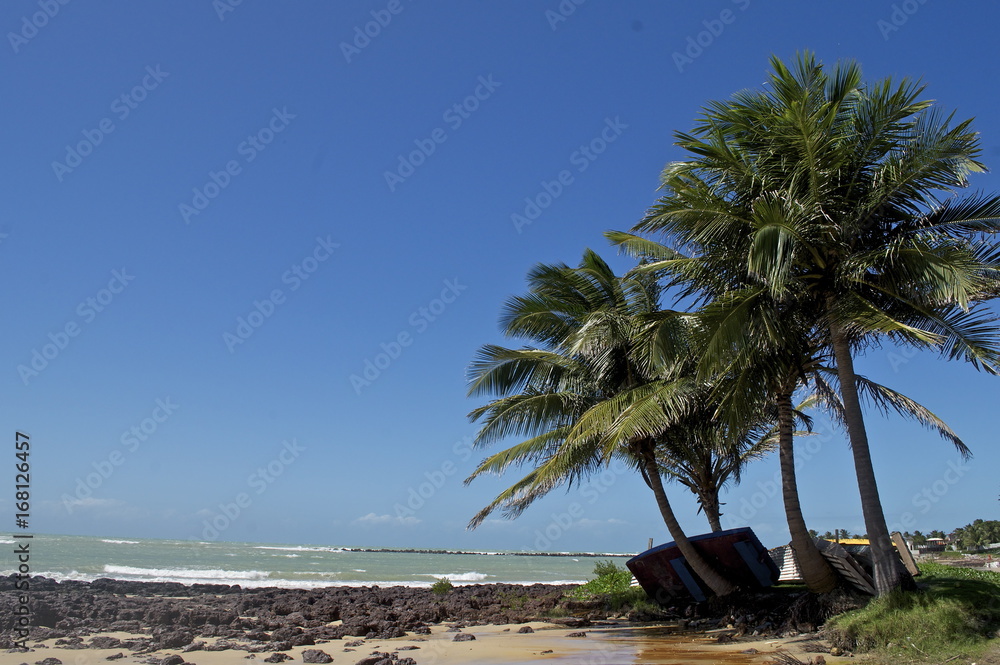 Obraz premium Praia de Búzio. Brasil