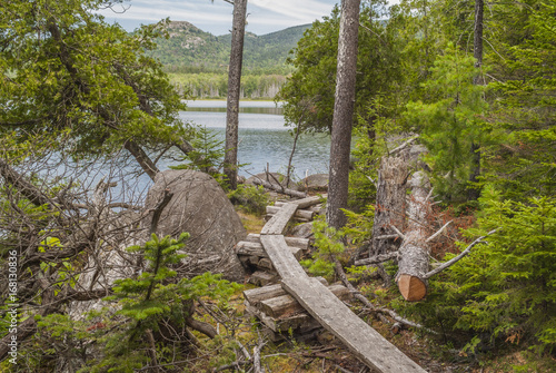Log Hiking Trail.