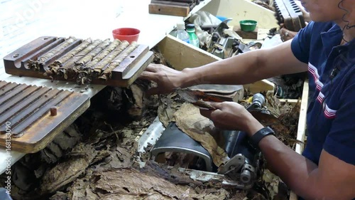 Putting cigar leaves together in a cigar factory in Esteli Nicaragua
