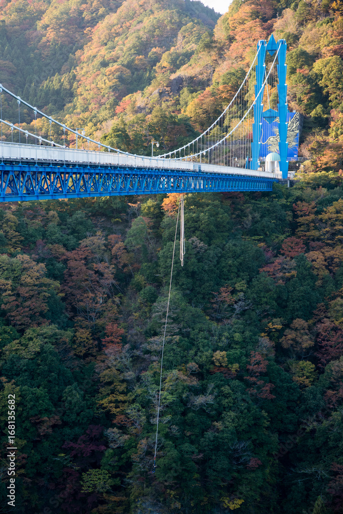 秋の竜神大吊橋