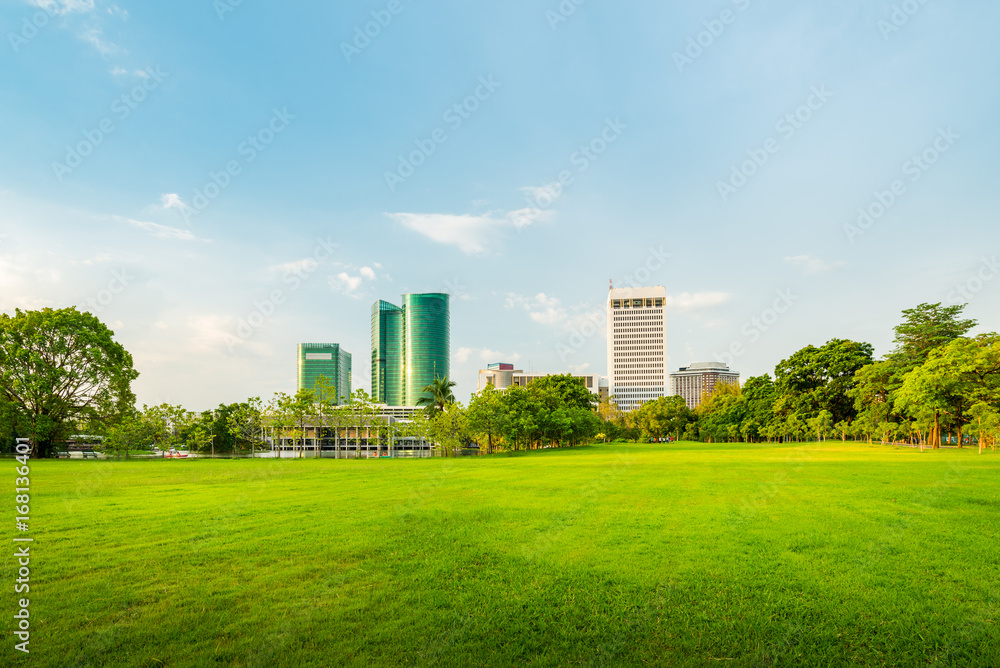 Beautiful morning light in public park with green grass field Beautiful morning light in public park with green grass field