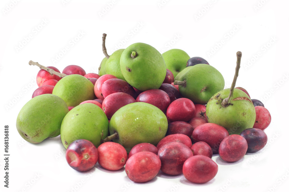 Berry red and olive properties medicinal Berry red and olive properties medicinal