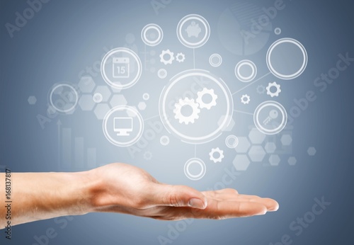 Wallpaper Mural Administrator. Torontodigital.ca