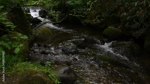 mountain stream