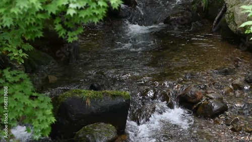 mountain stream