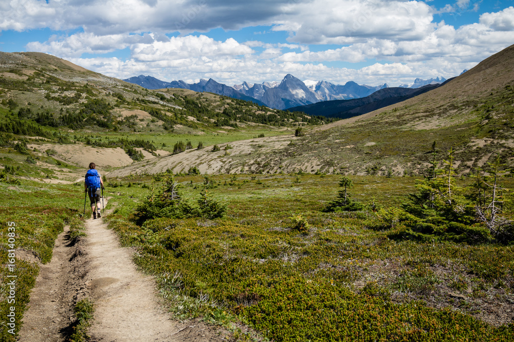 Person hiking through alpine meadow with mountains