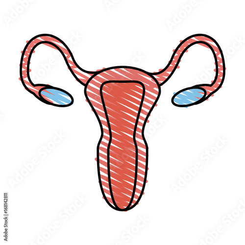Colorful uterus doodle over white background vector illustration