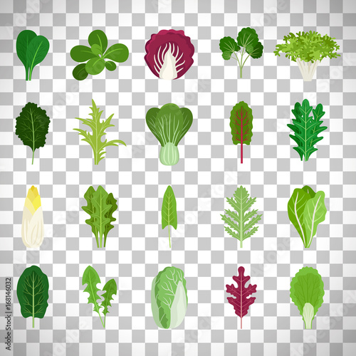 Green salad leaves on transparent background