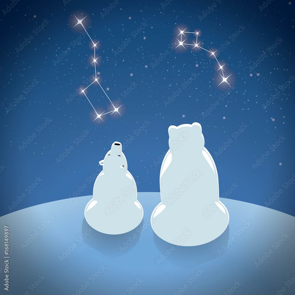 Fototapeta premium Polar bear with little bear looks at the constellations