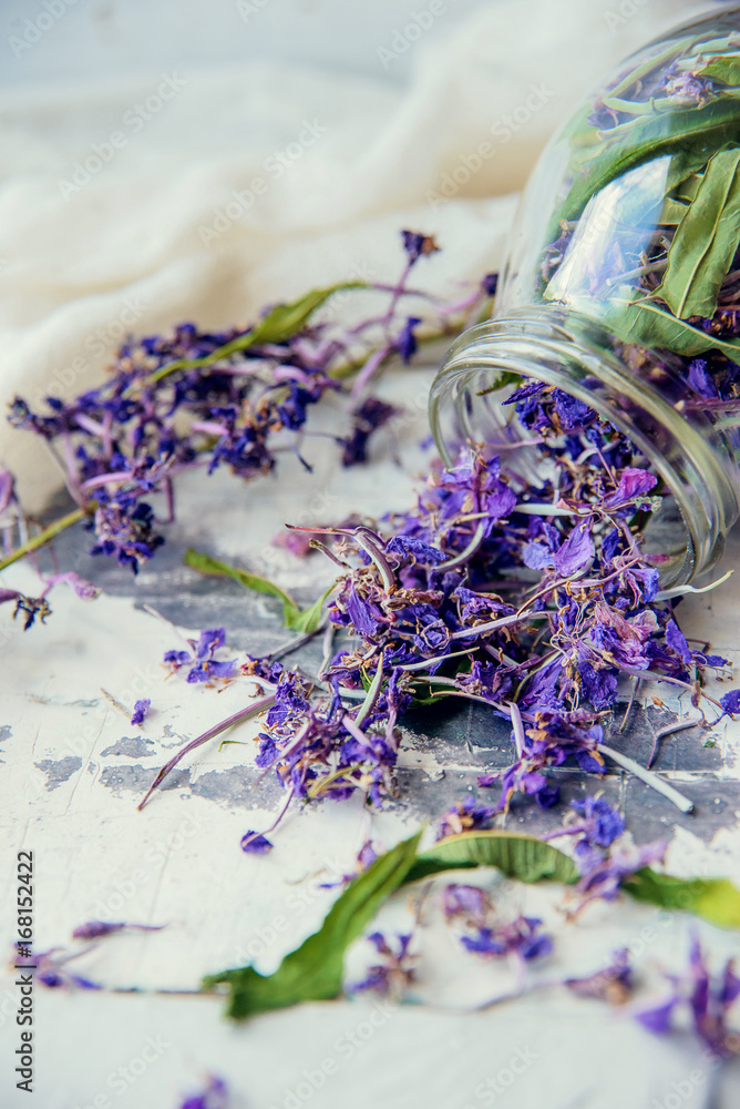 Traditional russian green herbal tea from Fireweed leaves: Koporye Tea, Russian Tea or Ivan Chai. Traditional russian green herbal tea from Fireweed leaves: Koporye Tea, Russian Tea or Ivan Chai.