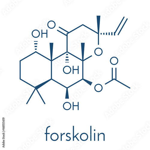 Forskolin (coleonol) molecule. Activates the enzyme adenylyl cyclase, resulting in increased levels of cAMP. Skeletal formula.