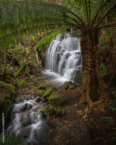 Mount Wellington foothills