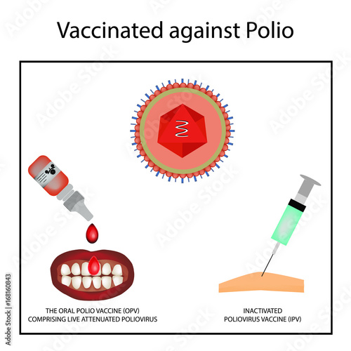 Vaccinations against poliomyelitis. World Polio Day. Inactivated poliomyelitis vaccine. The oral polio vaccine OPV. Injection with a syringe. Drops. Infographics. Vector illustration