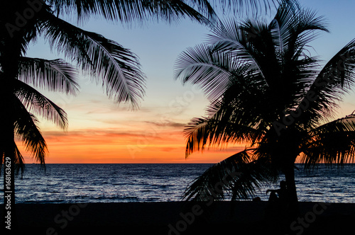 Palm trees silhouette. Sunset colorful sky backlight in Asia