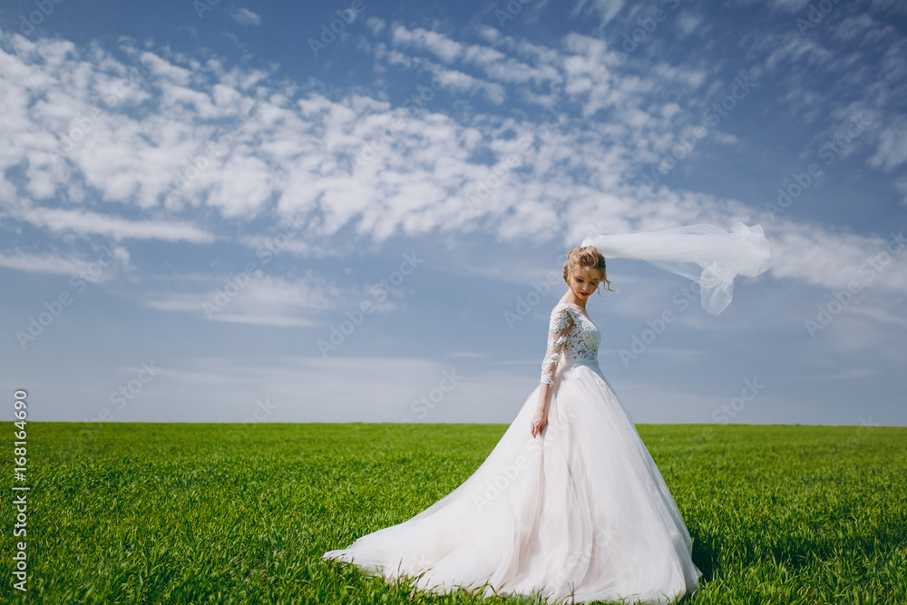 Portrait of a beautiful bride on wedding day Portrait of a beautiful bride on wedding day