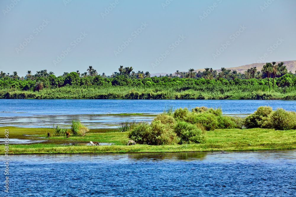 River Nile in Egypt. beautiful landscape River Nile in Egypt. beautiful landscape