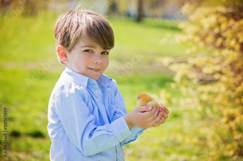 Sweet cute child  preschool boy  playing with little newborn chick in the park