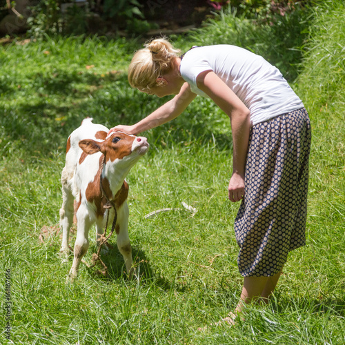 Female farmer caressing cute calf on meadow.
