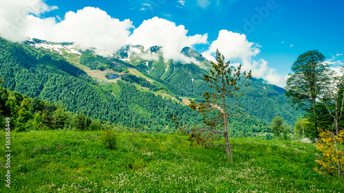 Mountain peaks. Mountain green landscape