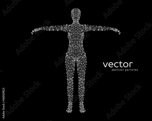 Abstract vector illustration of female body.