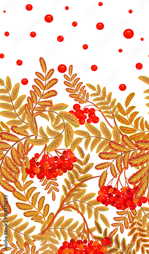 Vertical seamless background with red berries and branches of ripe rowan. Hand drawn illustration