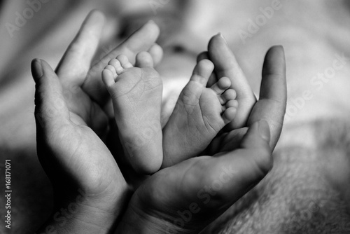 Tiny Newborn Baby s feet being held by father's hand.